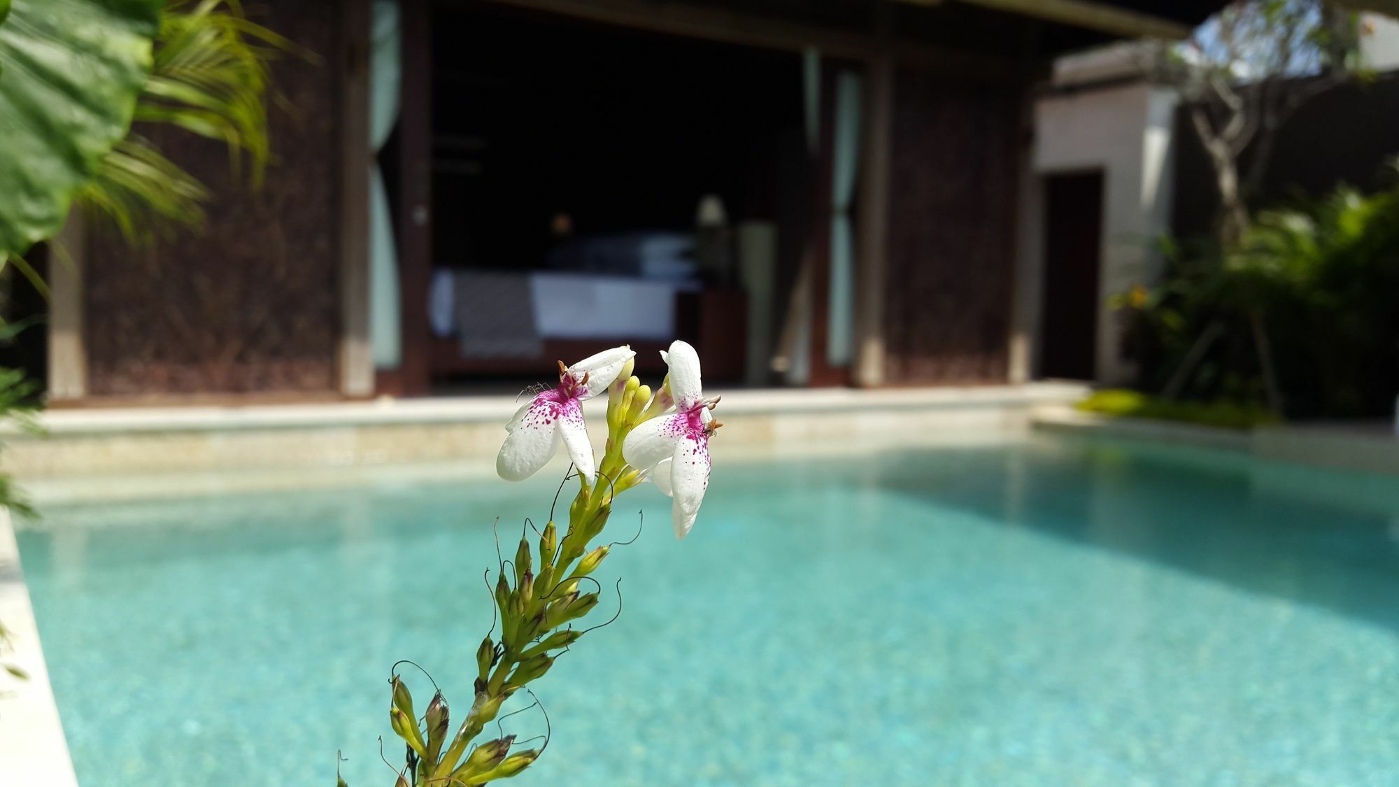 Sri Abi Ratu Villas Sukawati Екстериор снимка